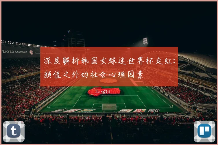 深度解析韩国女球迷世界杯走红:颜值之外的社会心理因素