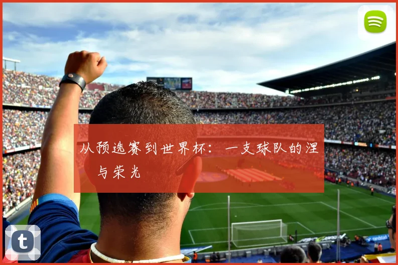 从预选赛到世界杯：一支球队的涅槃与荣光