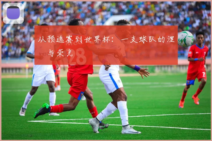 从预选赛到世界杯：一支球队的涅槃与荣光
