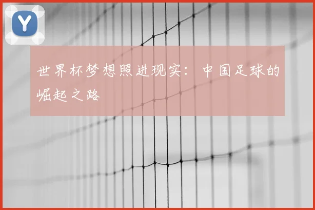 世界杯梦想照进现实：中国足球的崛起之路