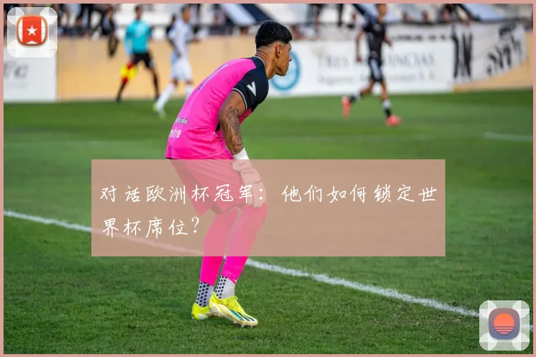 对话欧洲杯冠军:他们如何锁定世界杯席位?