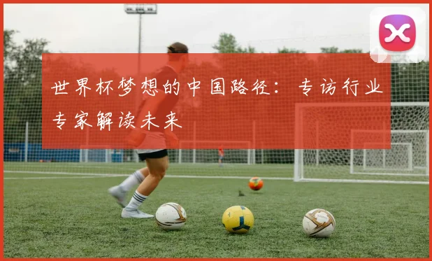 世界杯梦想的中国路径：专访行业专家解读未来