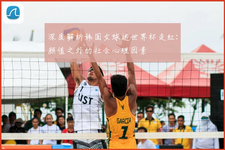 深度解析韩国女球迷世界杯走红:颜值之外的社会心理因素